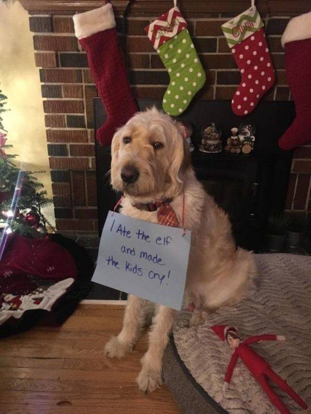 Daily Picdump