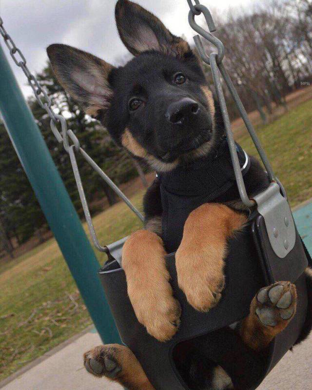 Daily Picdump