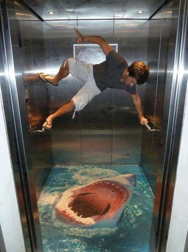 Daily Picdump