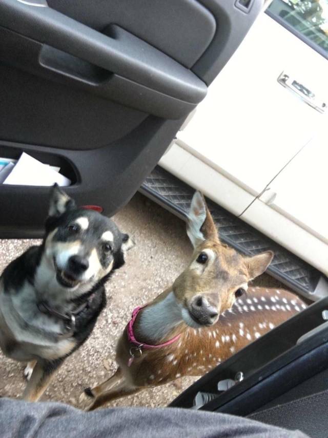 Daily Picdump