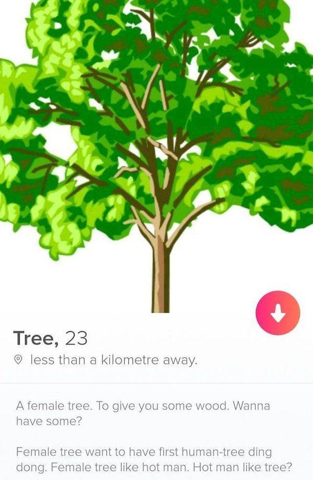 Tinder Is Just Not Where You Wanna Be Tinder Is Just Not Where You Wanna Be