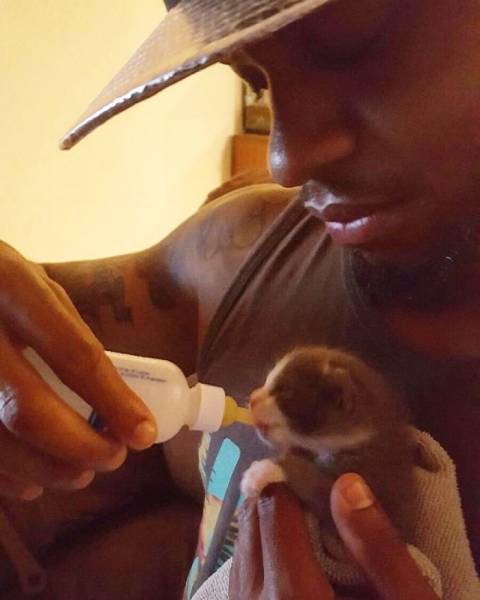 A List Of Cat Pics That Are Guaranteed To Leave Your Feline Fine