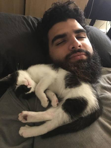 A List Of Cat Pics That Are Guaranteed To Leave Your Feline Fine