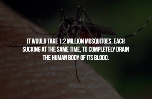 Nope, These Facts Are Too Scary