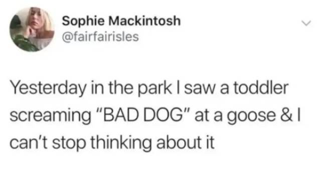 These Kids Make Sure Not To Use Too Much Of Their Brain Power