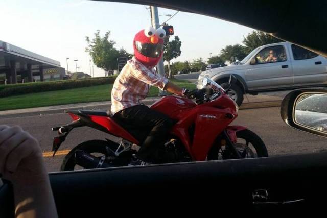 Daily Picdump