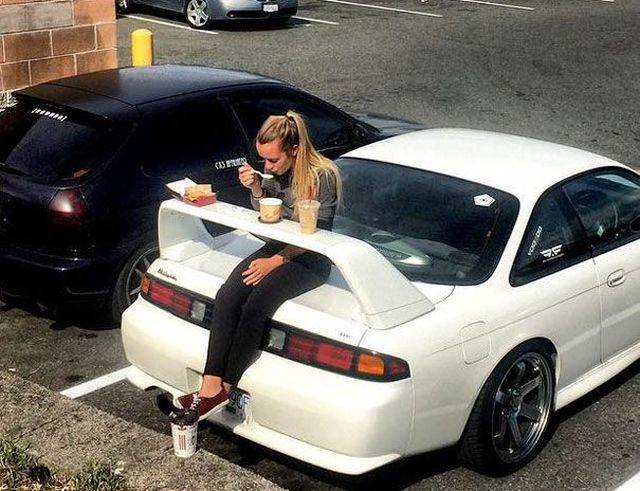Daily Picdump