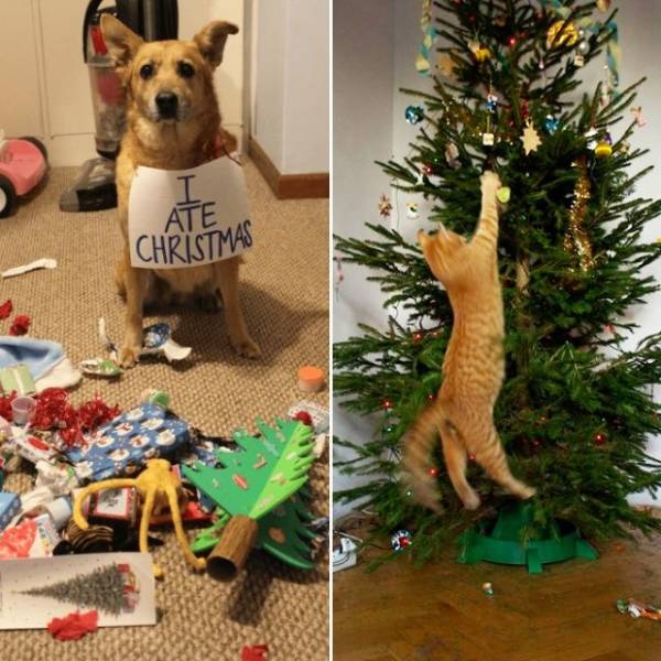 Daily Picdump
