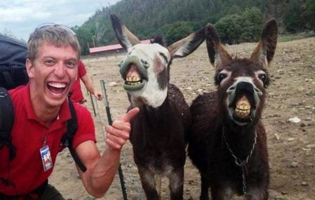 Daily Picdump