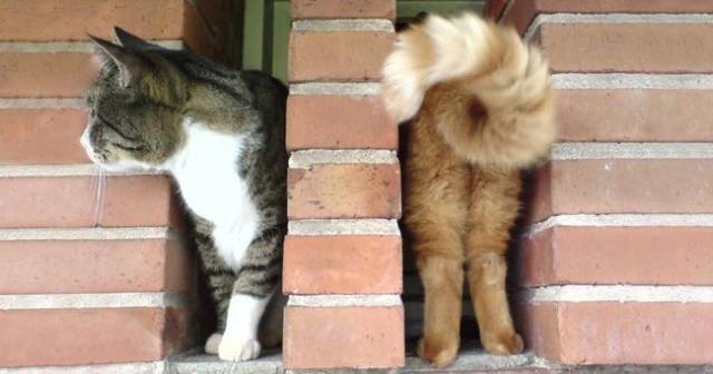 Daily Picdump