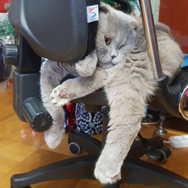 Daily Picdump