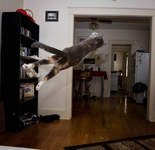 Daily Picdump