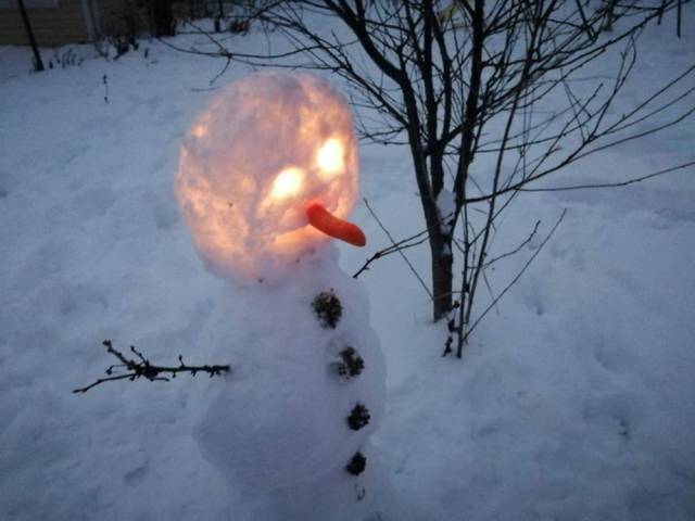 Daily Picdump