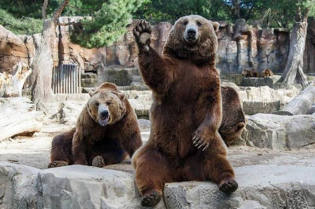 Daily Picdump