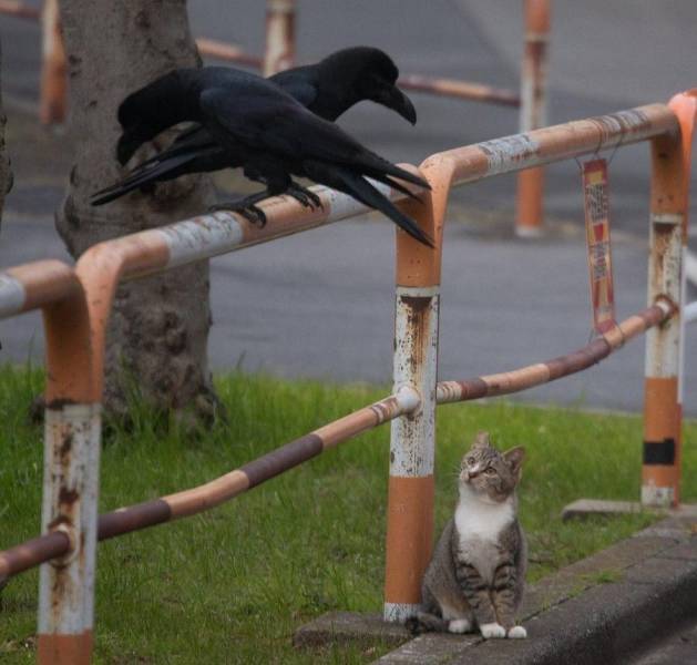 Daily Picdump