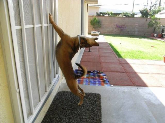 Daily Picdump
