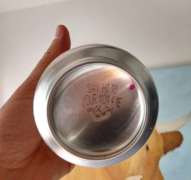 Daily Picdump
