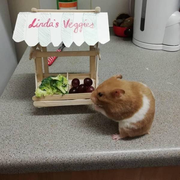 Daily Picdump