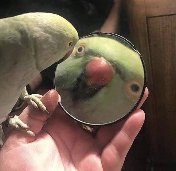 Daily Picdump