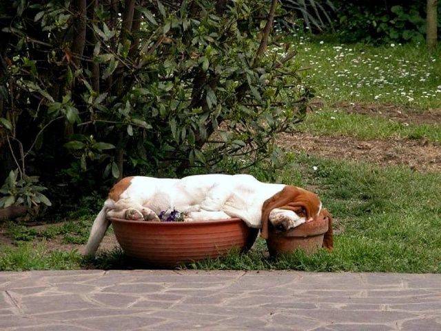 Daily Picdump
