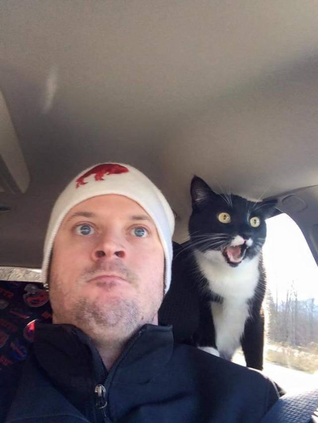 Daily Picdump