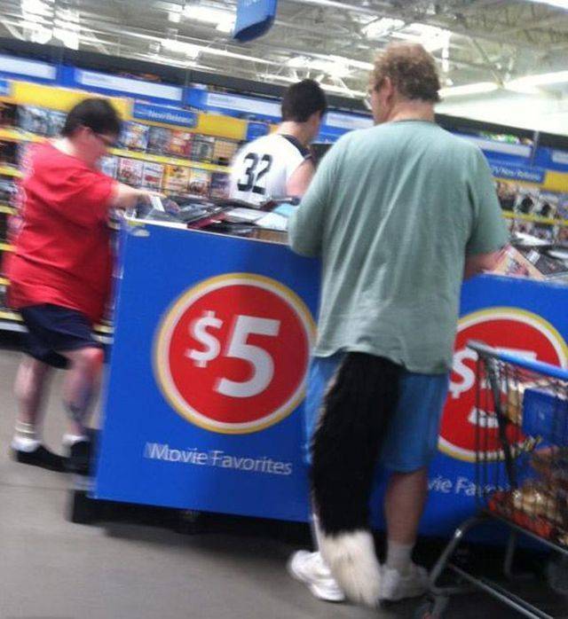 Daily Picdump