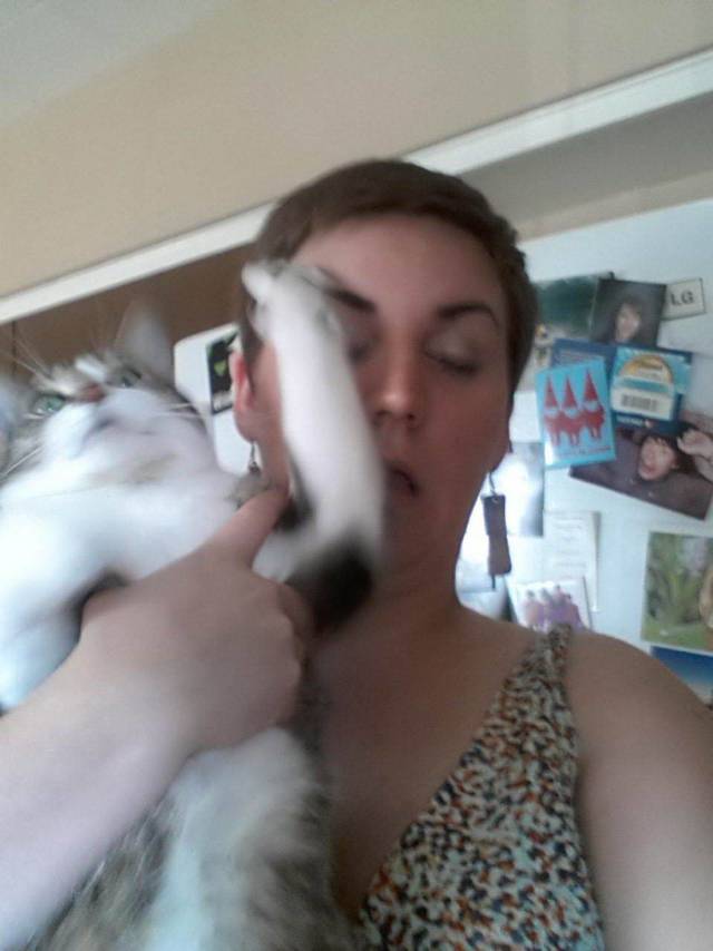 Daily Picdump