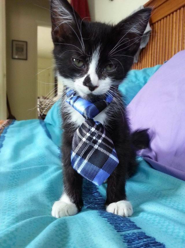 Daily Picdump