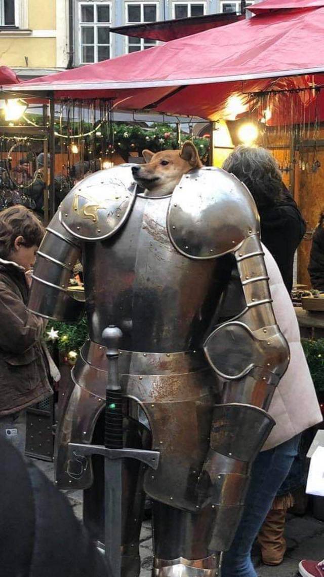 Daily Picdump
