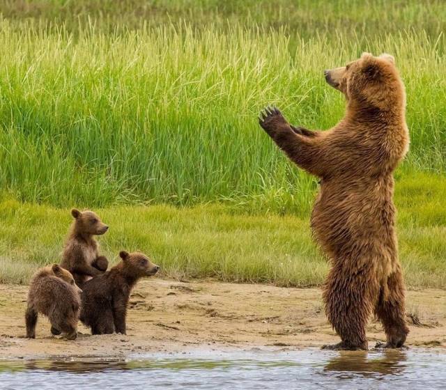 Daily Picdump