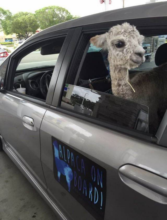 Daily Picdump
