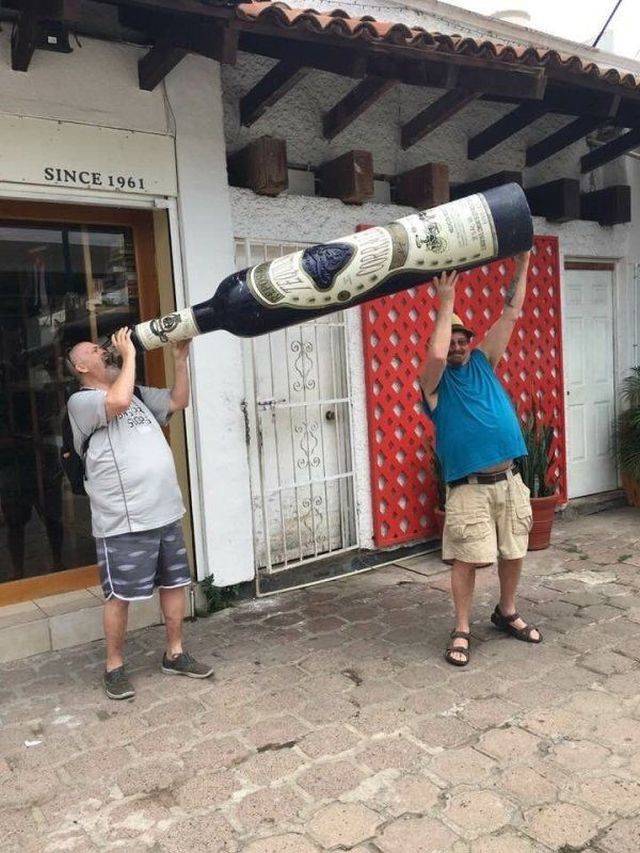 Daily Picdump