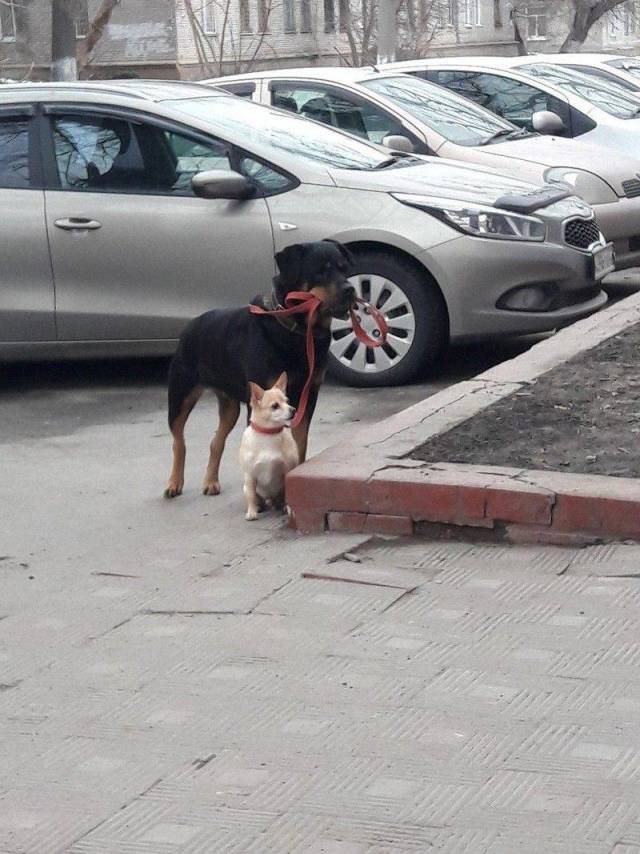 Daily Picdump