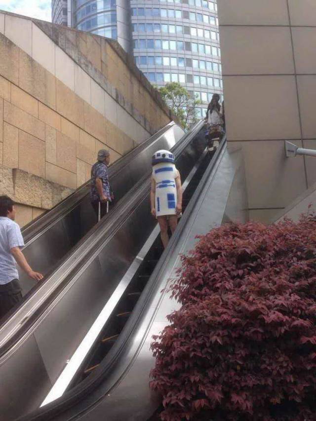 Daily Picdump