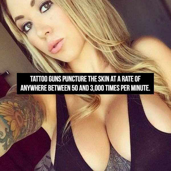 Masterfully Inked Tattoo Facts
