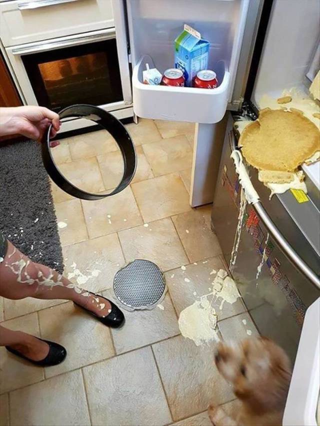 Daily Picdump