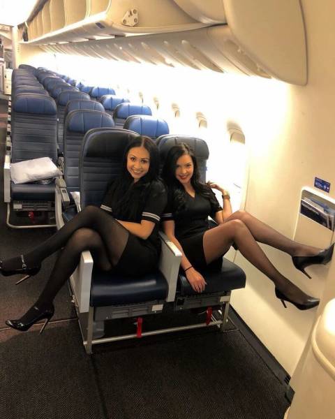 Flight Attendants In Compromising Positions Will Make You Wanna Fly Pics Picture