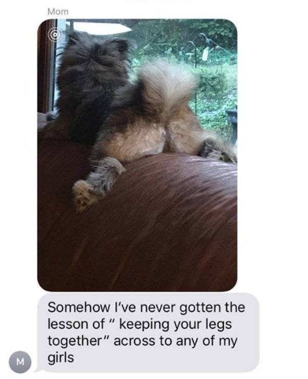 Sex Texts From Parents Are Something You Don’t Want To Receive