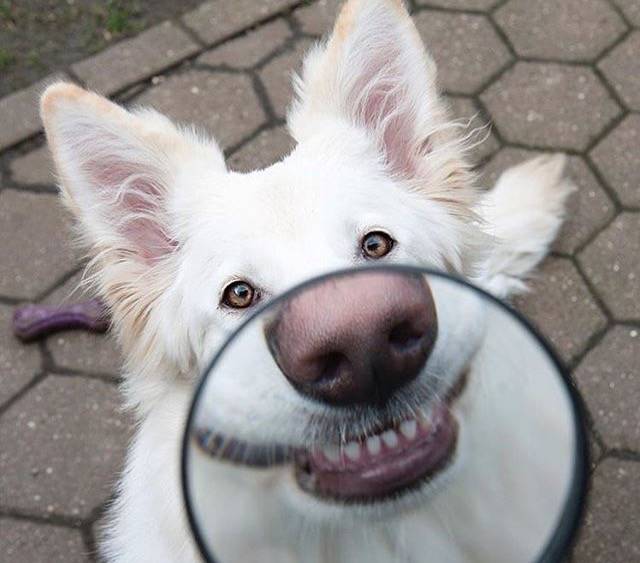 Daily Picdump