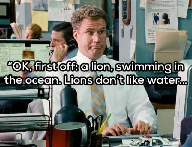 Everybody Knows Will Ferrell