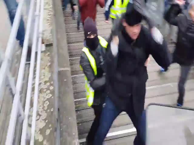 French Fists Vs. French Shield