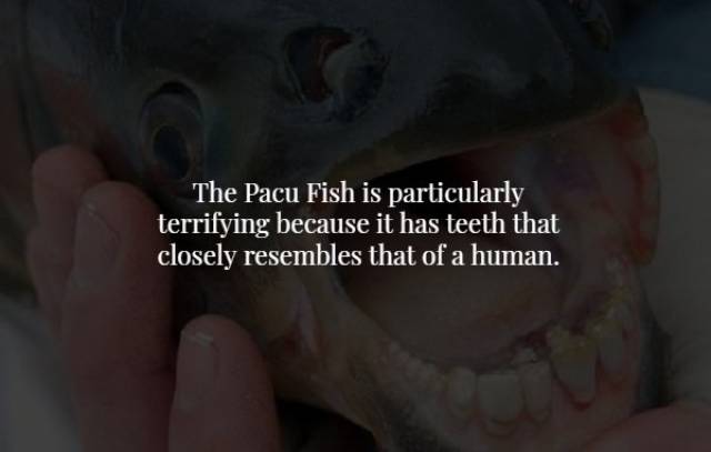 Creepy Facts To Start Your Week With