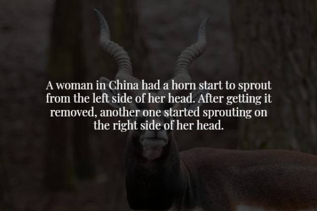 Creepy Facts To Start Your Week With