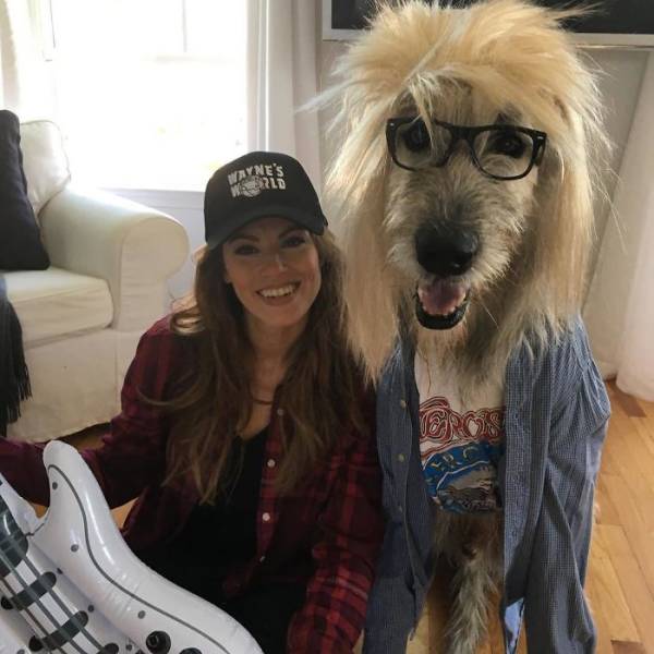 Irish Wolfhounds Are Both Funny And Incredibly LARGE