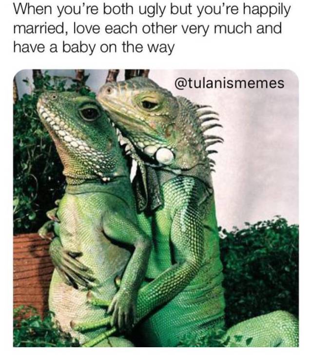 Married Life Is Too Hard, Let’s Meme