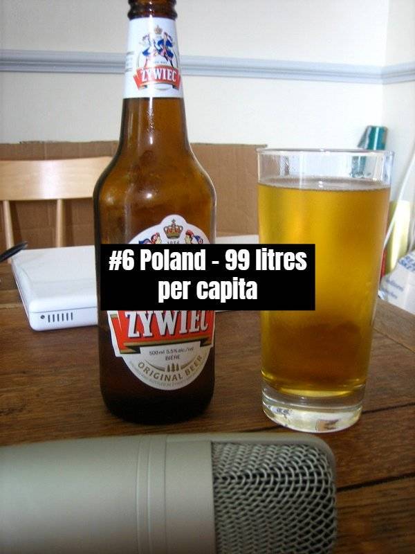 Which Countries Drink The Most