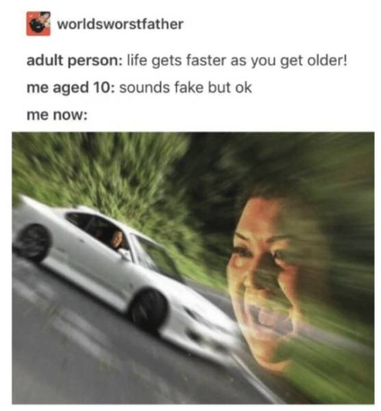 Is There Even A Person Who Knows How To Adult?