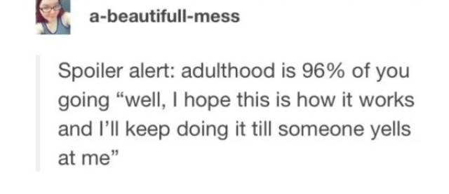 Is There Even A Person Who Knows How To Adult?