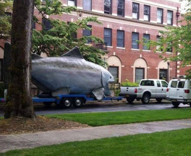 What The Actual Hell?!