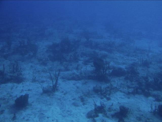 Deep And Mysterious Facts About The Abyss Of The Ocean